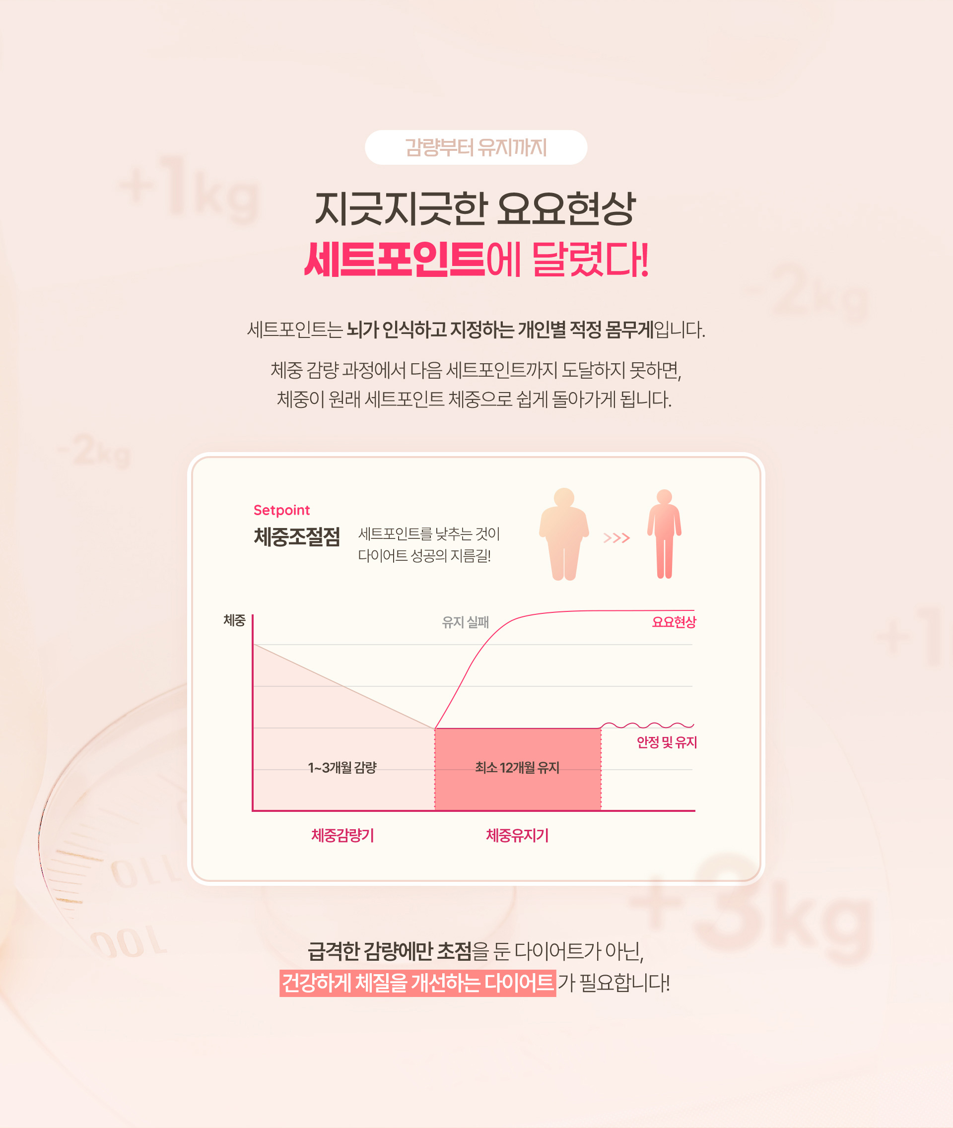 지긋지긋한 요요현상 세트포인트에 달렸다! 급격한 감량에만 초점을 둔 다이어트가 아닌, 건강하게 체질을 개선하는 다이어트가 필요합니다.