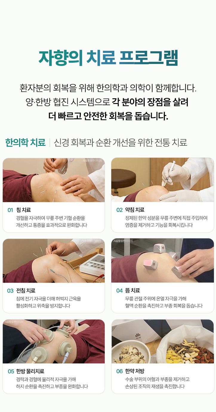 신경 회복과 순환 개선을 위한 전통 치료. 침 치료, 약침 치료, 전침 치료, 뜸 치료, 한방 물리치료, 한약 처방